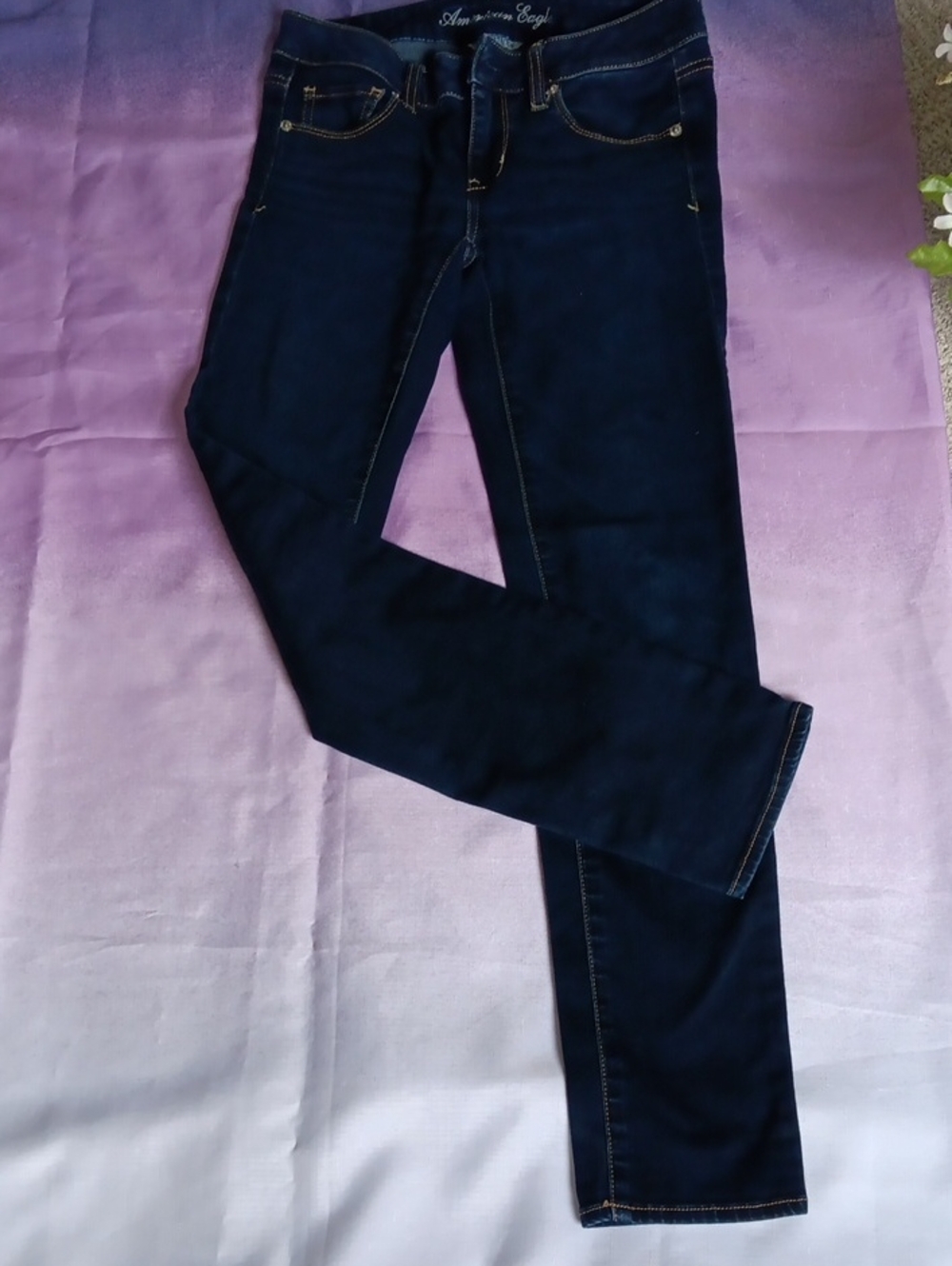 American Eagle Outfitters Dark Blue Skinny Jeans